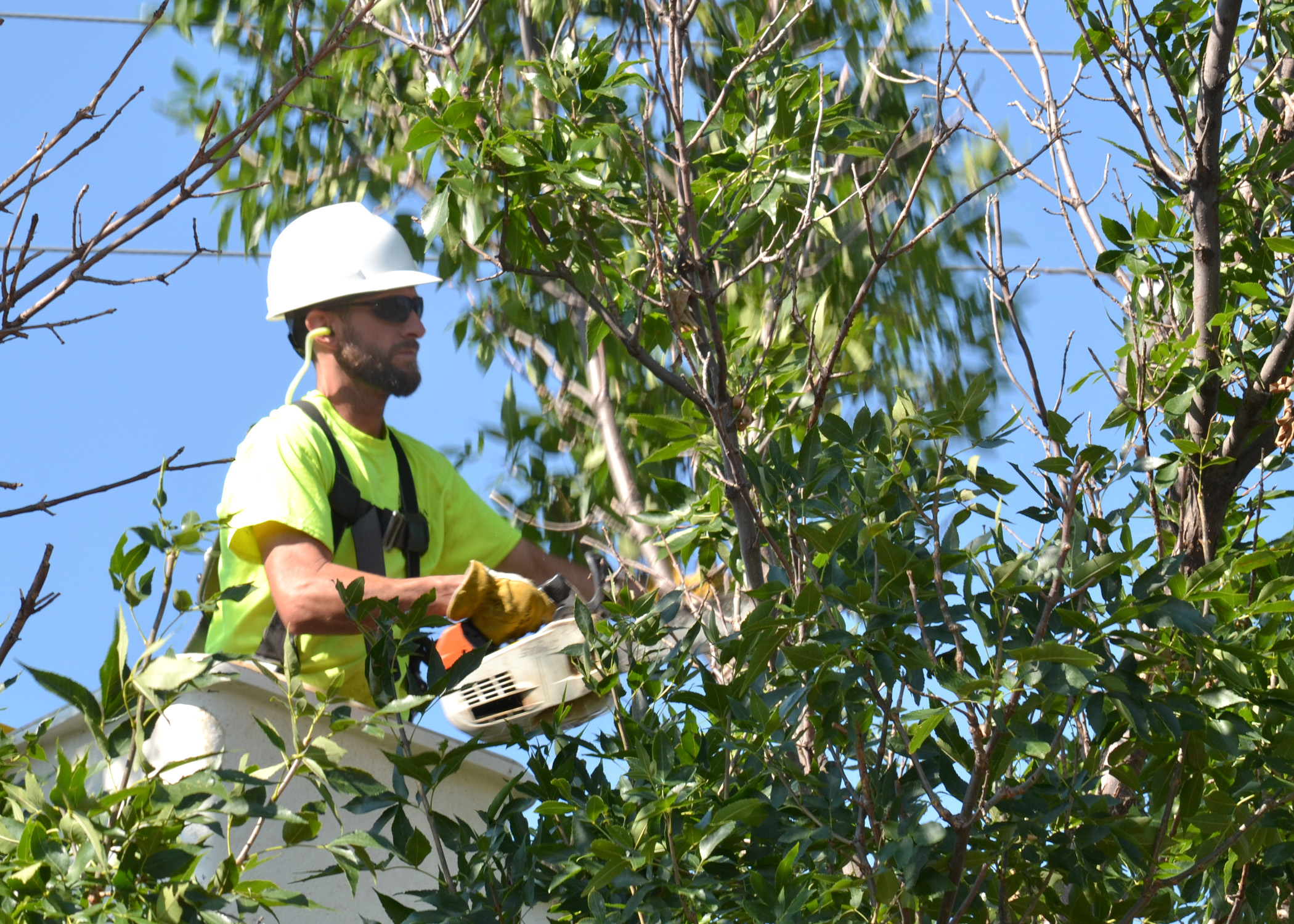 A tree trimmer in a bucket lift trims branches away from power lines in Hays, Kansas.