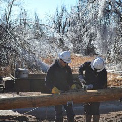 Midwest Energy linemen from Hays build a new pole to replace one that broke near Garfield, Kan.  The trees in the background show evidence of the nearly two inches of ice deposited on them by Ice Storm Jupiter.